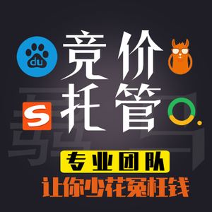 公司竞价托管公司竞价托管公司-艾丽斯网络托管