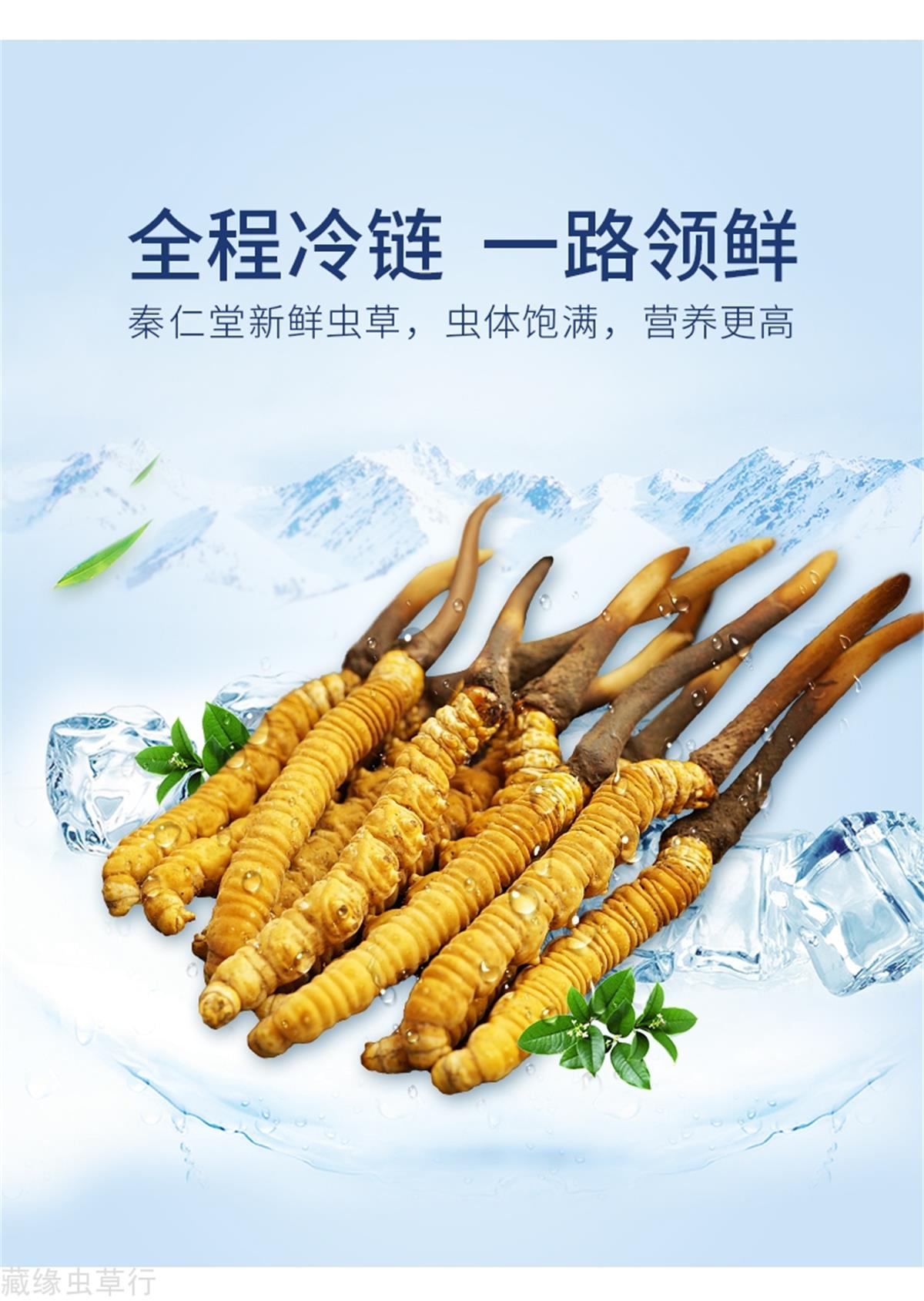 徐州冬虫夏草西藏那曲产地直销