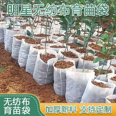 南充绿化袋源头厂家育苗袋植树袋
